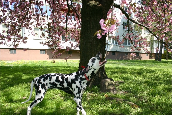 <b>da schnapp ich mir gleich eine!<b>